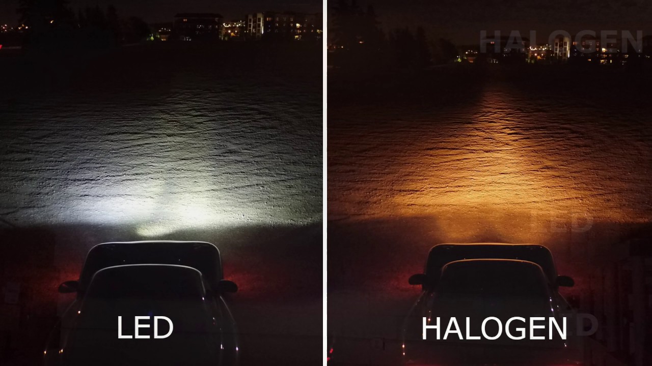 hid vs halogen night